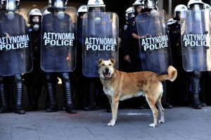 The dog nicknamed 'Sausage' became an internet phenomenon for his appearances at major protests. 