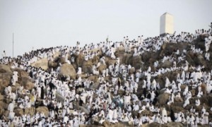 الحجاج