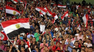 حسن فريد، نائب رئيس الاتحاد المصري لكرة القدم