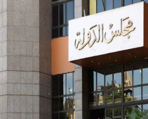 مجلس الدولة