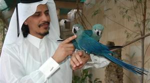 وزير الثقافة والتراث السابق وجامع الفنون القطري الشيخ سعود بن محمد آل ثاني