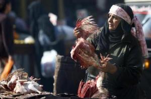 وفاة جديدة بإنفلونزا الطيور في مصر