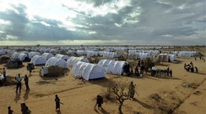مخيم داداب للاجئين في كينيا
