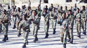 التحالف الدولي يكثف تدريبه لأبناء العشائر السنية لمواجهة داعش 