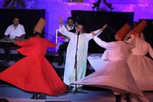 عامر التونى