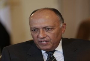 وزير خارجية مصر سامح شكري