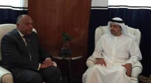 جانب من لقاء وزير خارجية الإمارات ونظيره المصري