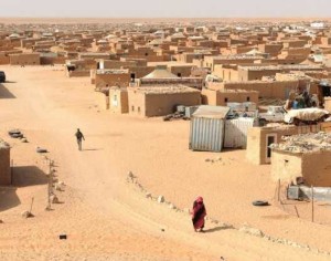 الجزائر والبوليساريو ترفضان إحصاء الصحراويين
