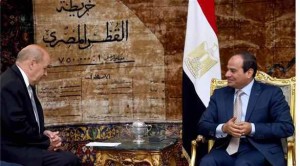 الرئيس المصري خلال لقائه مع وزير الدفاع الفرنسي