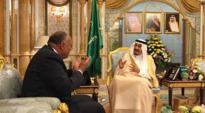 وزير خارجية مصر خلال لقائه مع العاهل السعودي